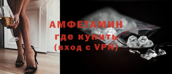 сатива Вяземский