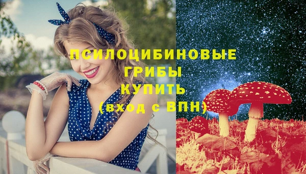 сатива Вяземский