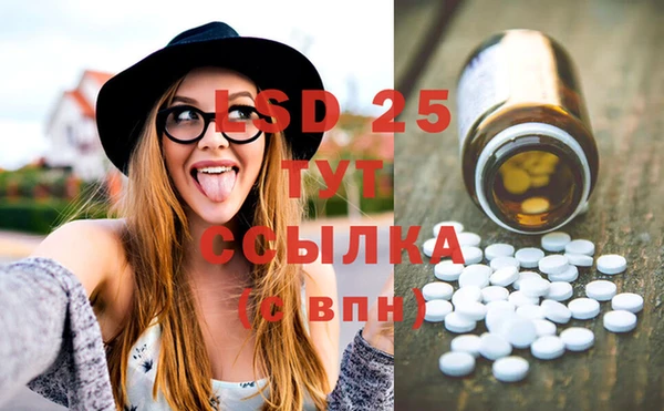 сатива Вяземский
