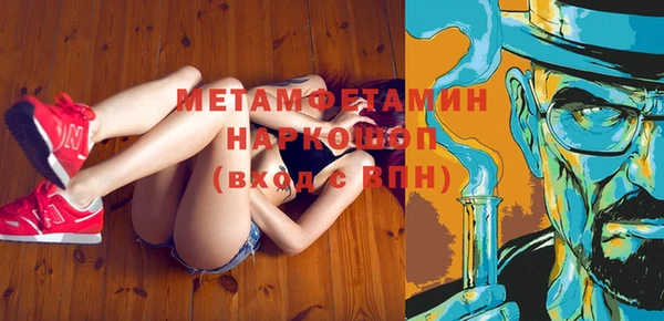 сатива Вяземский