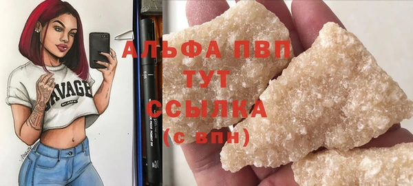сатива Вяземский