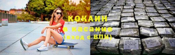 сатива Вяземский