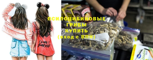 сатива Вяземский