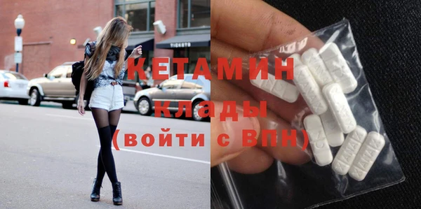 сатива Вяземский
