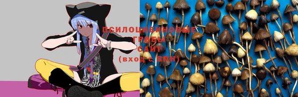 соль курить ск Вязники