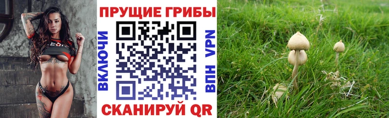 Галлюциногенные грибы Magic Shrooms  Северобайкальск 